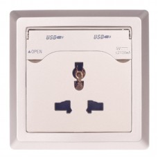 DSX-056A 2.1A Wall Socket with Dual USB Charging Ports Champagne